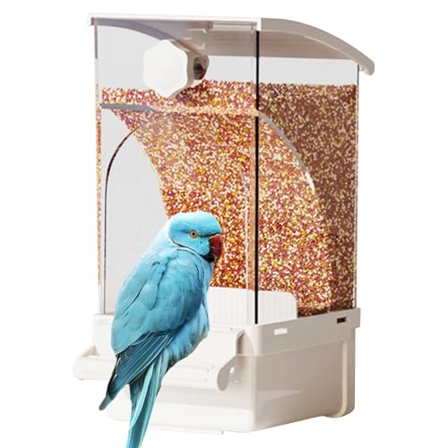 鳥専用自動給餌器（小粒用）と備長炭セット 鳥専用自動給餌器（小粒用