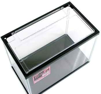 41neTyCMFPL._AC_UF350,