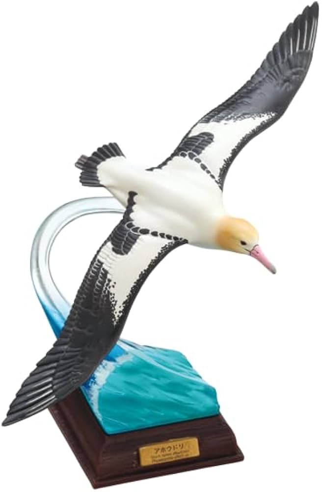 Amazon | 「ネイチャーテクニカラー 小笠原」シリーズ アホウドウリ