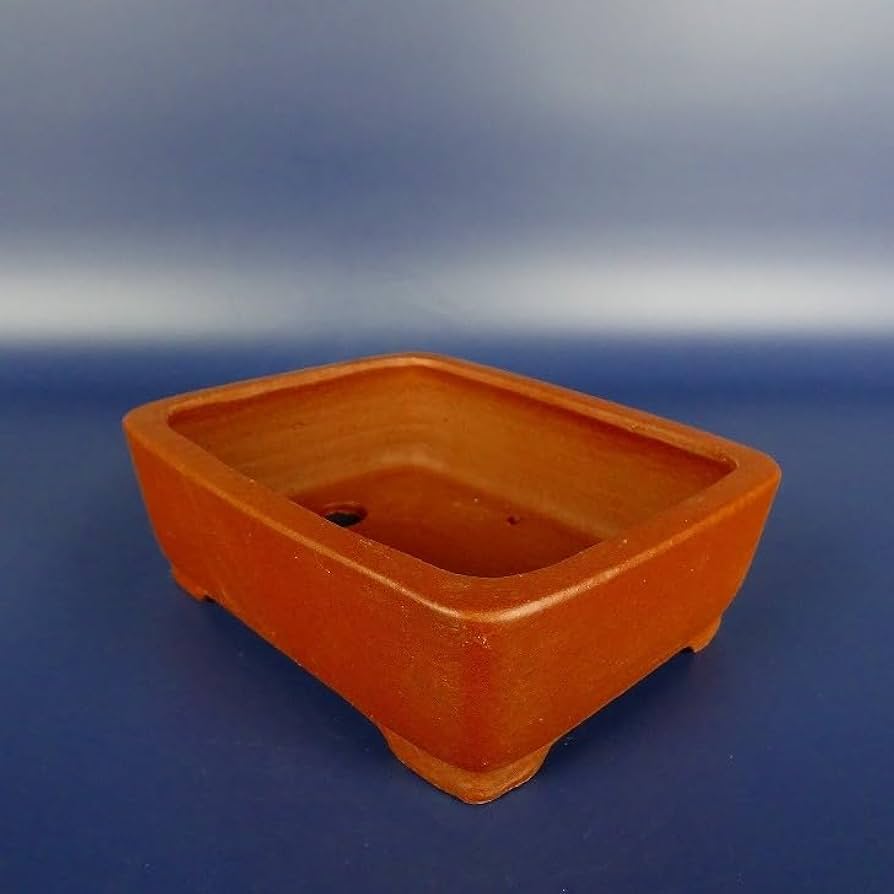 Amazon.co.jp: 盆栽鉢 常滑 柴勝 小型 長辺 約12.5cm 長方鉢 撫角 泥鉢