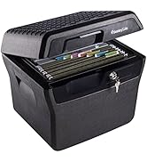 Amazon.com: SentrySafe Fireproof and Waterproof Document Safe with