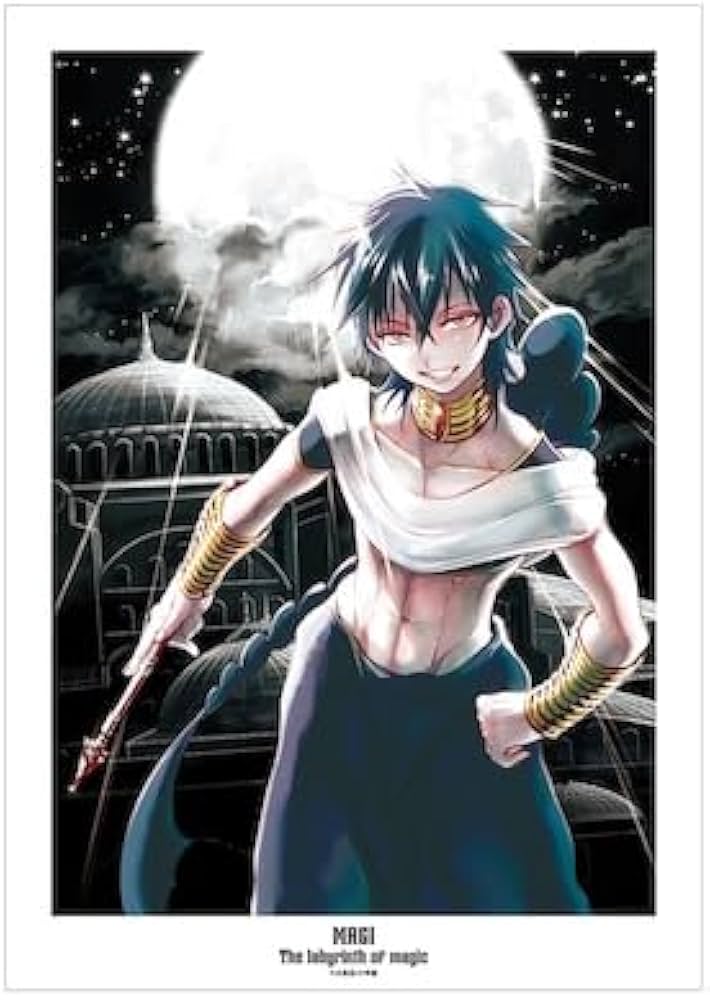 Amazon.co.jp: マギ 5巻表紙イラスト A3マット加工ポスター : ホーム