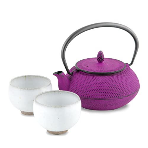 南部鉄器 急須 セット」の人気商品一覧 | 安い商品を通販サイトから