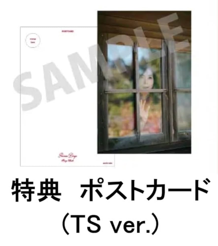 竹内まりやアクリルジオラマ当選品