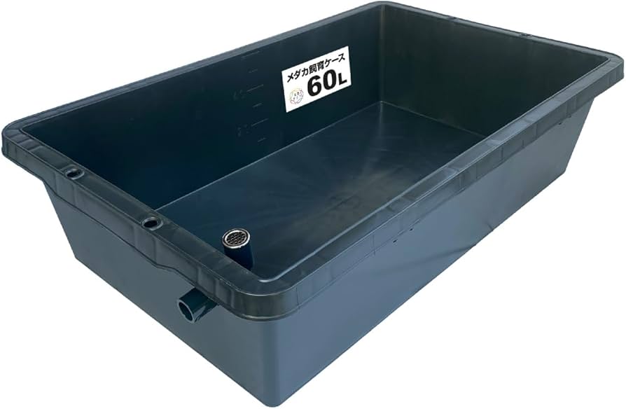 Amazon | 五色アクア メダカ飼育ケース 60リットル 黒 オーバーフロー
