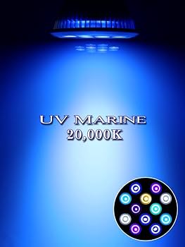 Amazon.co.jp: B.R.S Lighting Master 24DCⅡ【UVマリン】20,000K 国内