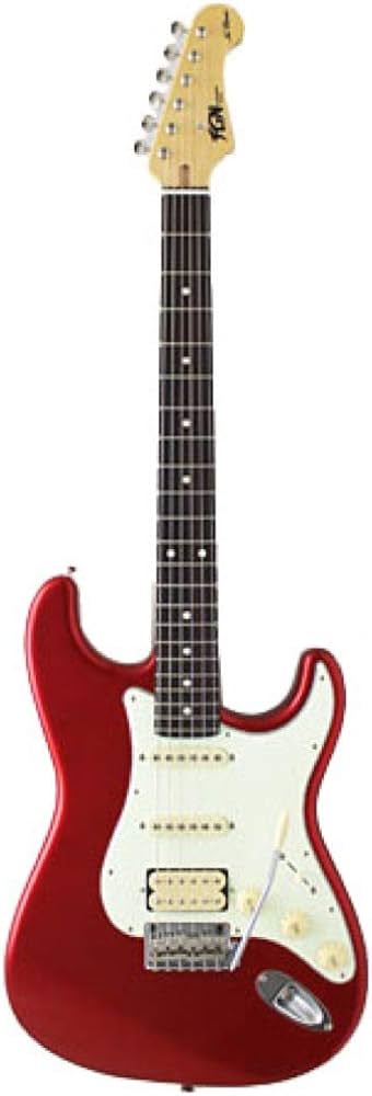 Amazon.co.jp: Fujigen NST11RAL-CAR ST Type Electric Guitar FGN Neo