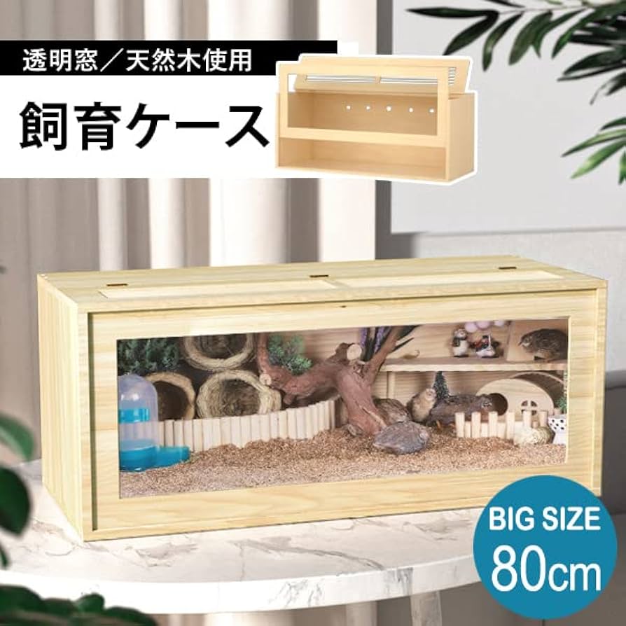 Amazon | 飼育ケース80cm おしゃれ 組み立て式 アクリルケース 木