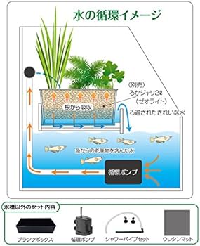 Amazon | 寿工芸 レグラスポニックス 300Hセット | Kotobuki | 飼育