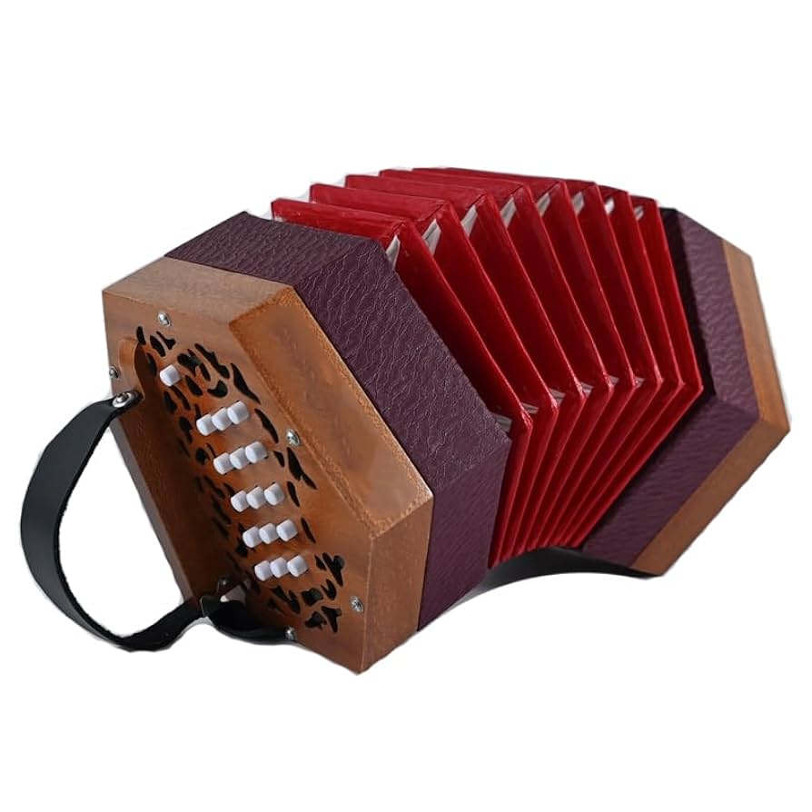 TAMOSH 20キー 40トーン 六角形アコーディオン プロフェッショナル