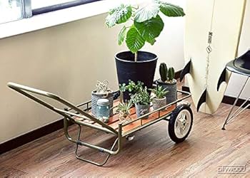 Amazon | ハングアウト(Hang Out) 折りたたみ アウトドアワゴン