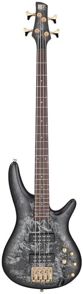 Amazon.com: Ibanez SR Standard 4-string Electric Bass - Black Ice