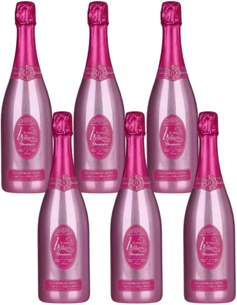 Amazon.co.jp: ル・レーヴ・ブリヤン ロゼ 750ml 6本 ルレーブ