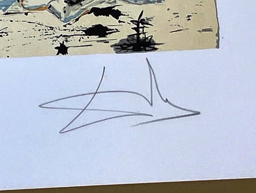 ダリ（Dali）ドンキホーテ（水車）リトグラフ 直筆サイン エディション