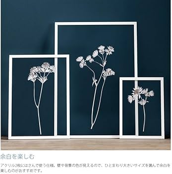 Amazon.co.jp: MOEBE / フレーム A2(Aluminium(Black) : ホーム＆キッチン