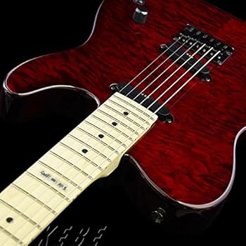 Amazon.co.jp: EDWARDS E-D-TE STDR エレキギター DIEモデル