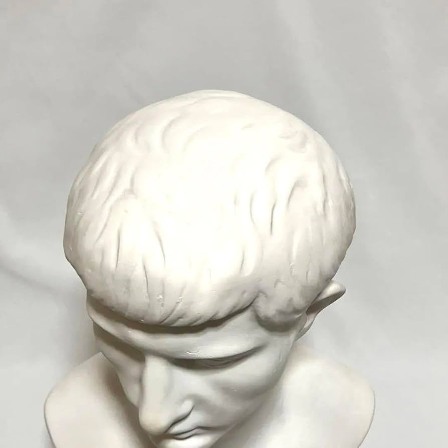 ブルータス石膏胸像 。デッサン。美術。教材 11月の石膏像は