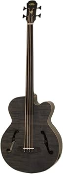 Amazon | Aria Pro II FEB-F2/FL STBK | アコースティック・エレアコ