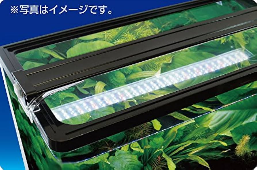 Amazon | 寿工芸 プログレ600 5点 LED | Kotobuki | 飼育セット 通販