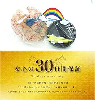 Amazon.co.jp: ShopXJ 脳 人体模型 立体 分解 可能 医療 取り外し 解剖