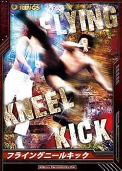 新日本プロレス前田日明箔押し サイン 入りキンプロ