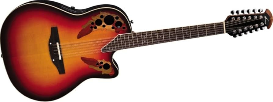 Amazon.co.jp: Ovation 12-Strings 2758AX 12弦 エレアコギター
