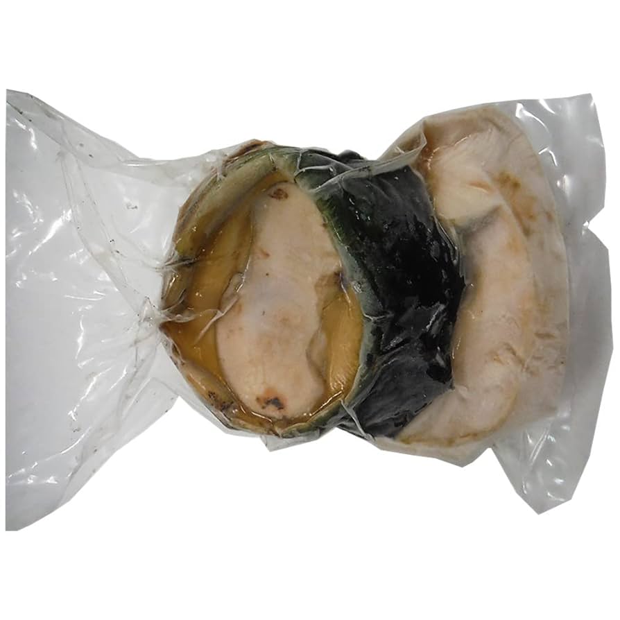 エビshop〜』【夜光貝中セット】沖縄県産夜光貝 エビShop〜』【夜光