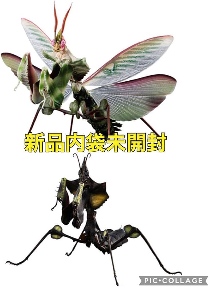 Amazon.co.jp: ニセハナマオウカマキリ??いきもの大図鑑アドバンス