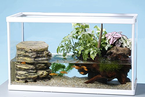 アクアテラリウム レイアウト一式水槽セット