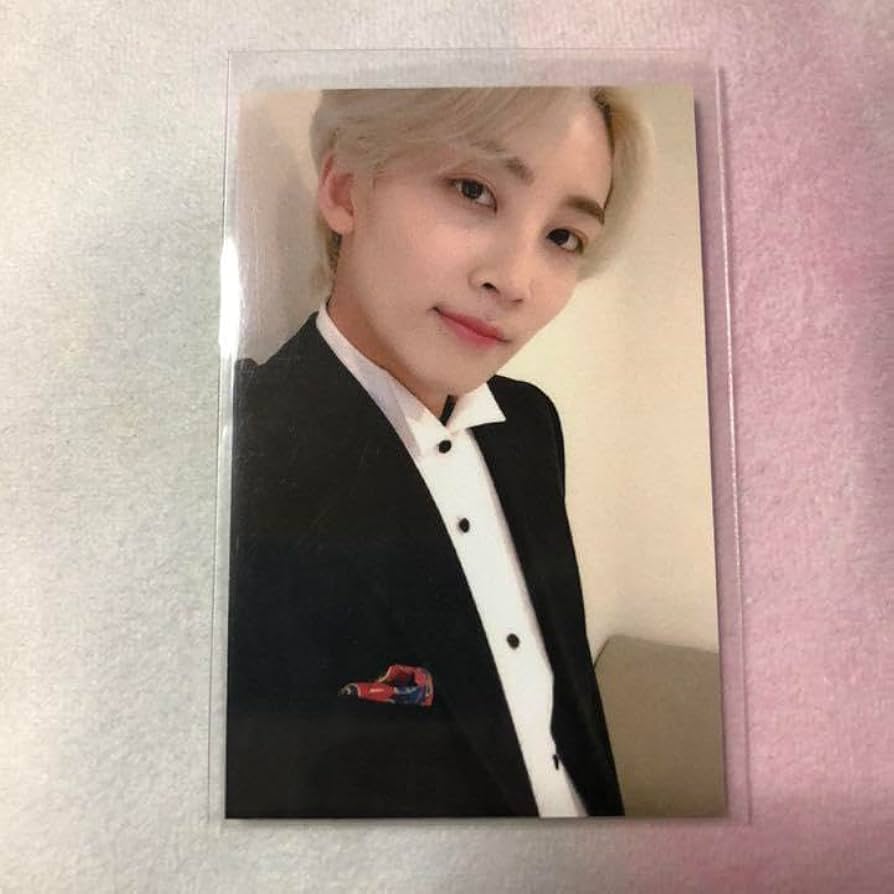 SEVENTEEN セブチ サノク トレカ AnOde Fear 독 ジョンハン