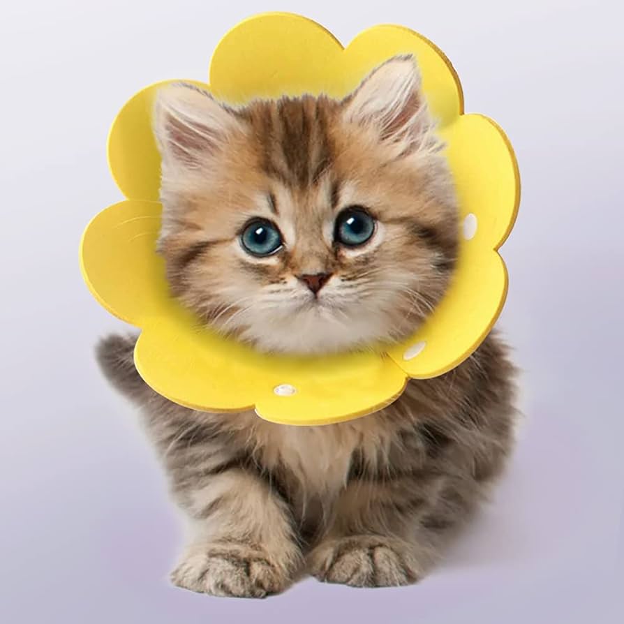 Amazon | nacyvcos 猫 犬 エリザベスカラー ボタン式 回復首輪 軽量 術