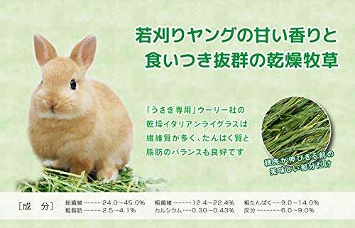 ウーリー 高原の朝採り牧草 イタリアンライグラス2024 ヤング×4