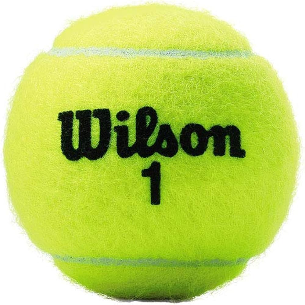 Wilson US Open 公式ボール エクストラデューティ 2球入り16缶