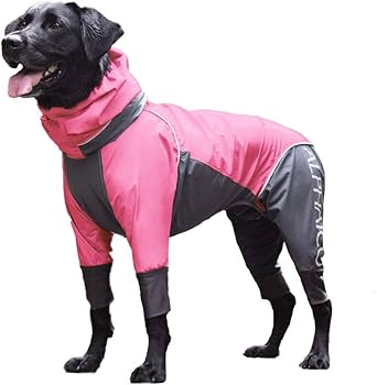 Amazon | レインドッグガード (2020年秋冬モデル)(ミント,S