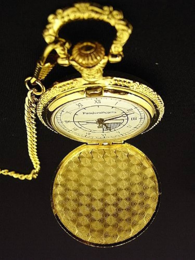 パンドラハーツ オルゴール レイシー ペンダント付 2025年最新