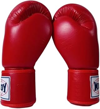 WINDY ボクシンググローブ 12 oz BGVH レッド Amazon | WINDY