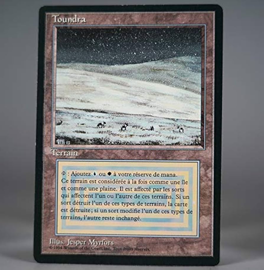 Tundra マジック：ザ・ギャザリング 土地カード Tundra 土地カード