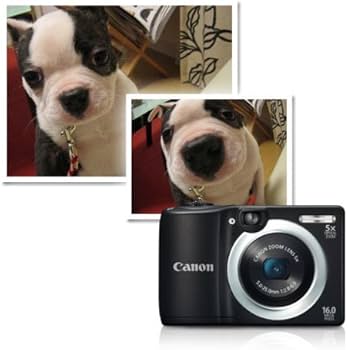 Amazon.com : Canon PowerShot A1400 16.0 MP Digital Camera with 5X