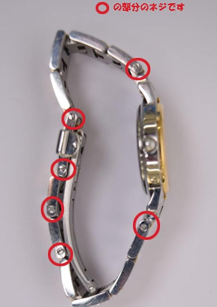 Amazon.co.jp: [ドクターウォッチ] エルメス クリッパー レディース駒