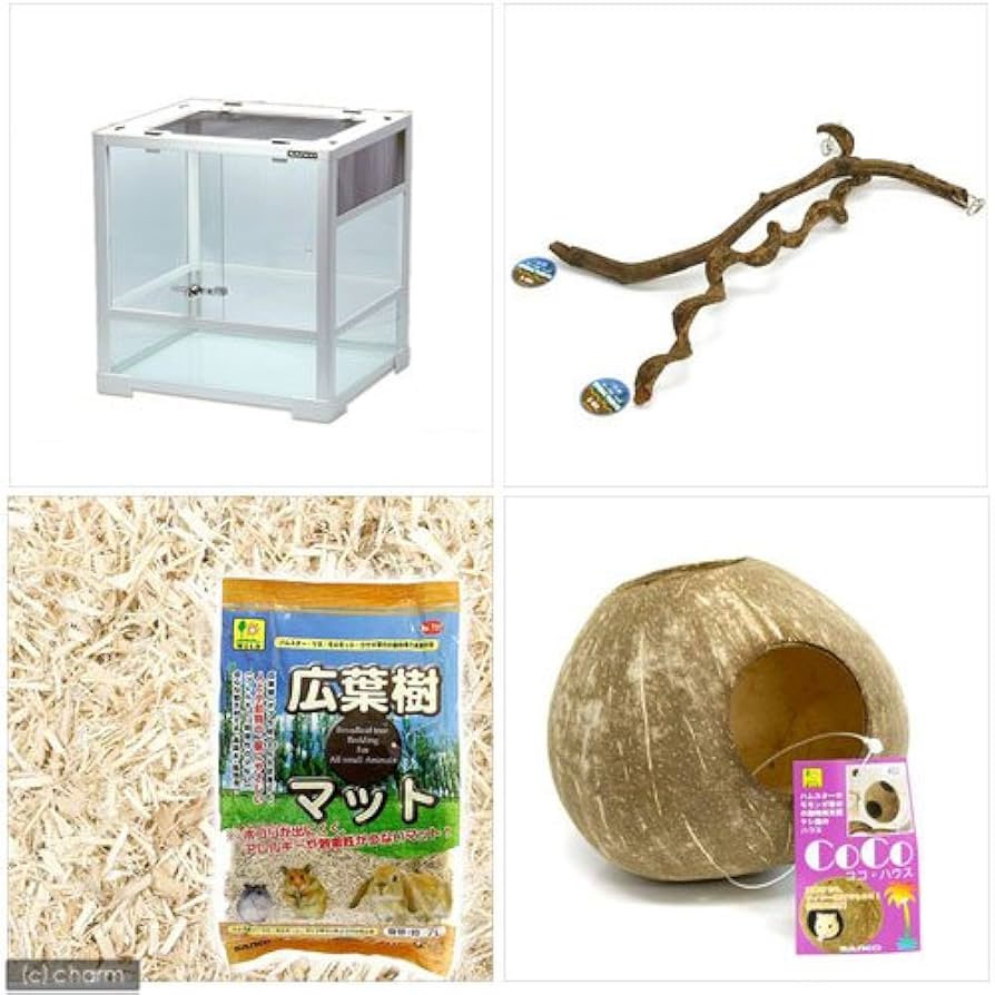 Amazon | 三晃商会 フクロモモンガのおうちセット 説明書付き ケージ