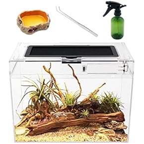 爬虫類・両生類用ケース・水槽 - Amazon.co.jp