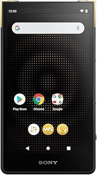 Amazon.com: Sony NW-ZX707 Walkman 64GB Hi-Res Portable Digital