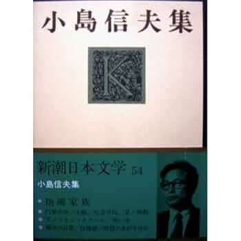 水声社 小島信夫 短篇・長編・批評集成 計26冊揃 Amazon.co.jp: