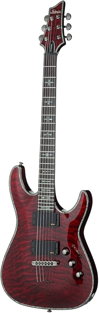 Amazon.com: Schecter Hellraiser C-1 - Black Cherry : Musical
