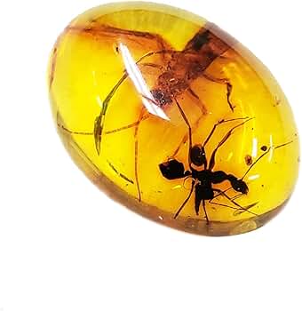 天然琥珀 虫入り約800g 特大 宝石鑑別書横10cm 縦19cm 厚さ約5cm 天然