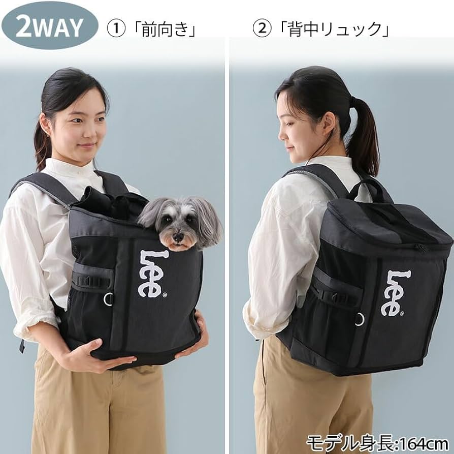 Lee ストライプ キャリーバッグリュック