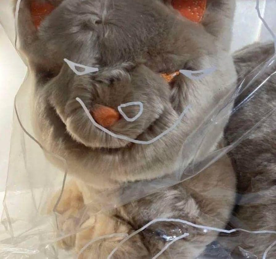 リイシューねこちゃん grande アプリコットベージュ 米津玄師