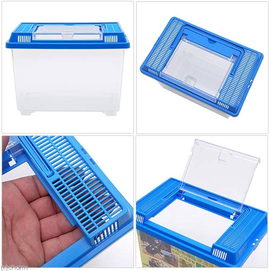 Amazon | 鈴木製作所 飼育容器 小 青（225×150×165mm