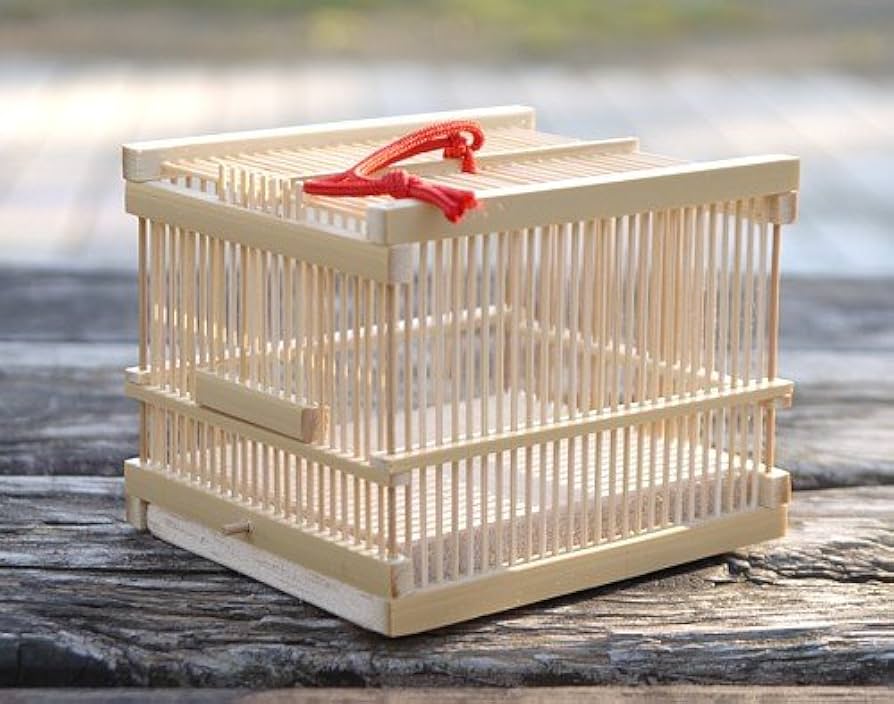 Amazon.co.jp: 伝統的工芸品 駿河竹千筋細工 虫籠 中 さらし : ペット用品