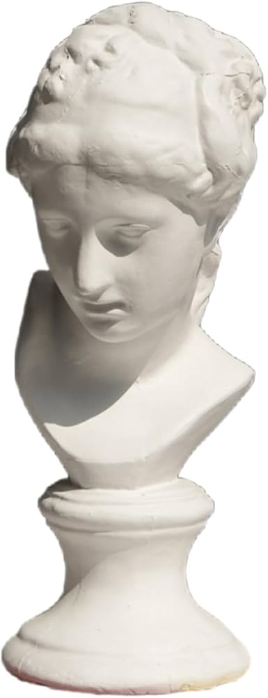 Amazon.co.jp: Unlnsiy 石膏像 胸像 人物像 置物 デビッド像 石膏像風